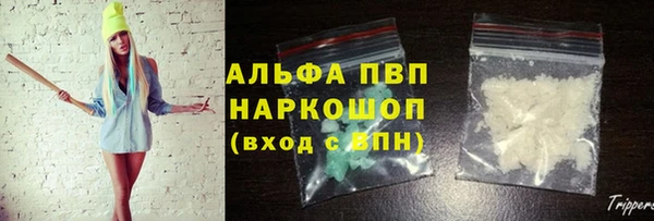 гидра Богородицк