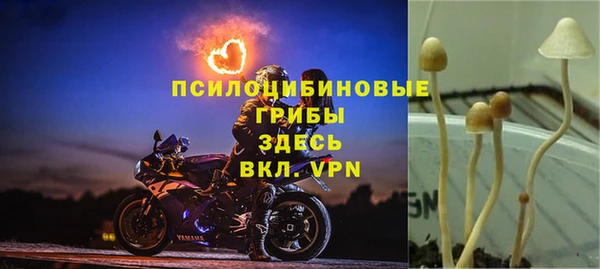 трава Бородино
