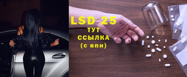 трава Бородино