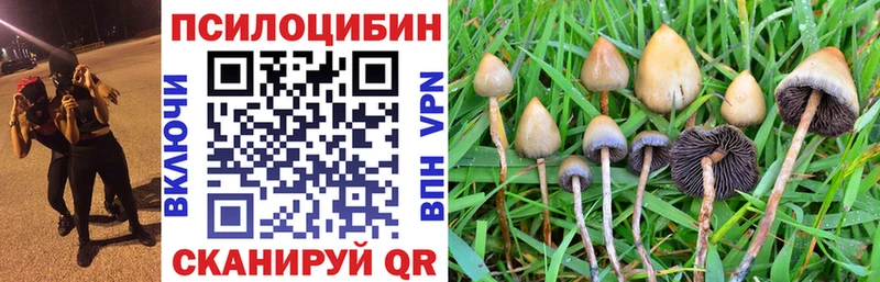 что такое наркотик  Карабаш  Галлюциногенные грибы ЛСД 